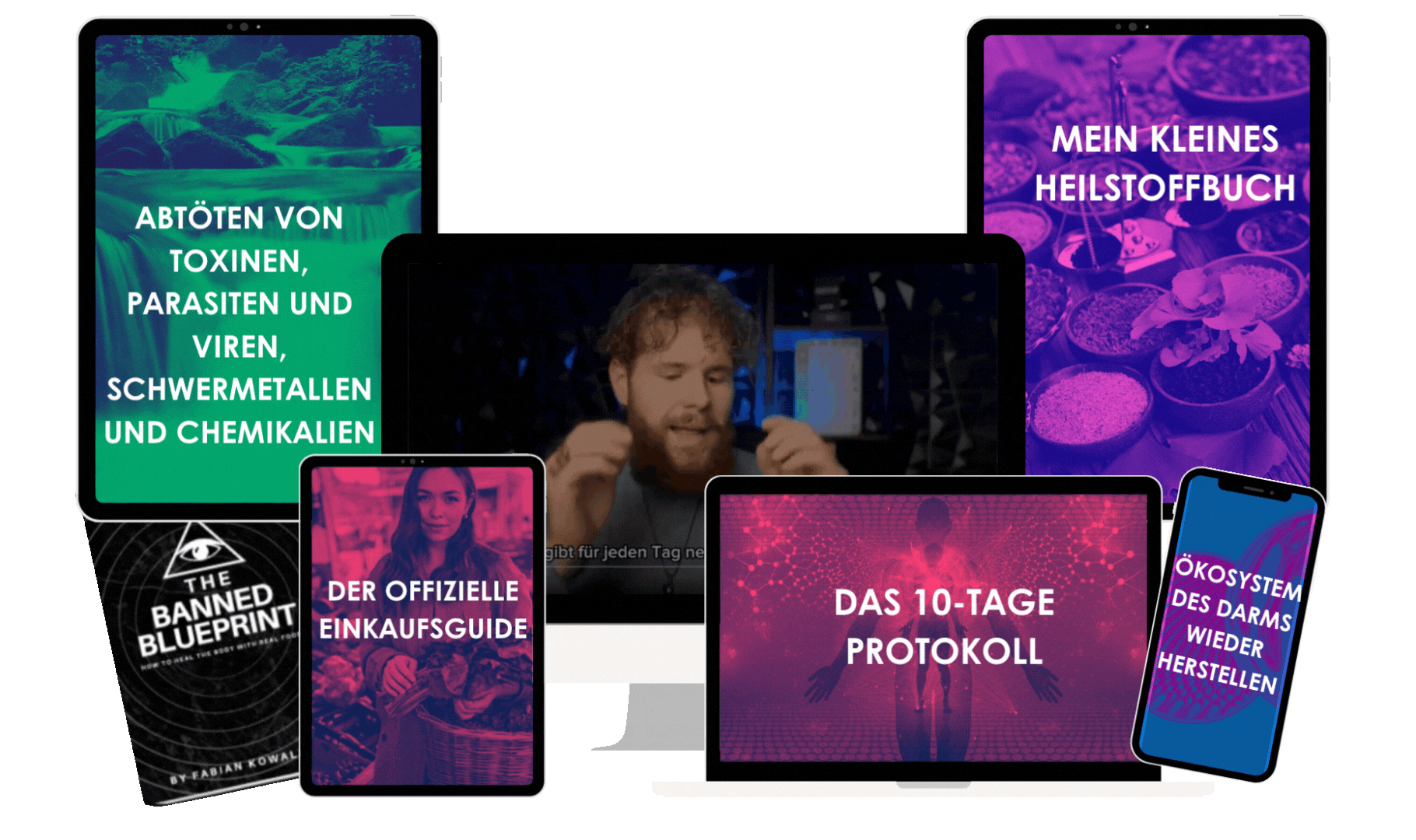 Online Course Darmsanierung