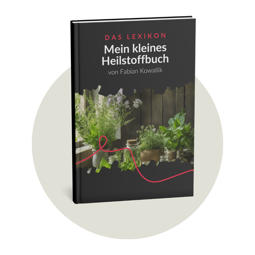 heilstoffbuch-mockup-groß-min
