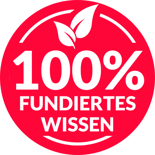 fundiertes-wissen-icon